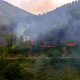 100 Hektare Hutan Lindung di Danau Toba Diduga Dibakar