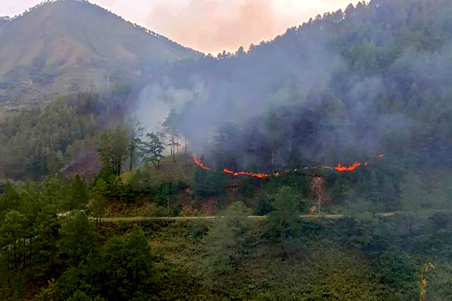 100 Hektare Hutan Lindung di Danau Toba Diduga Dibakar