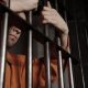 Polisi Ringkus 6 Debt Collector yang Kepung - Tabrak Mobil Warga Labusel