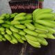 Curi Setandan Pisang, Pria di Siantar Diangkut Polisi