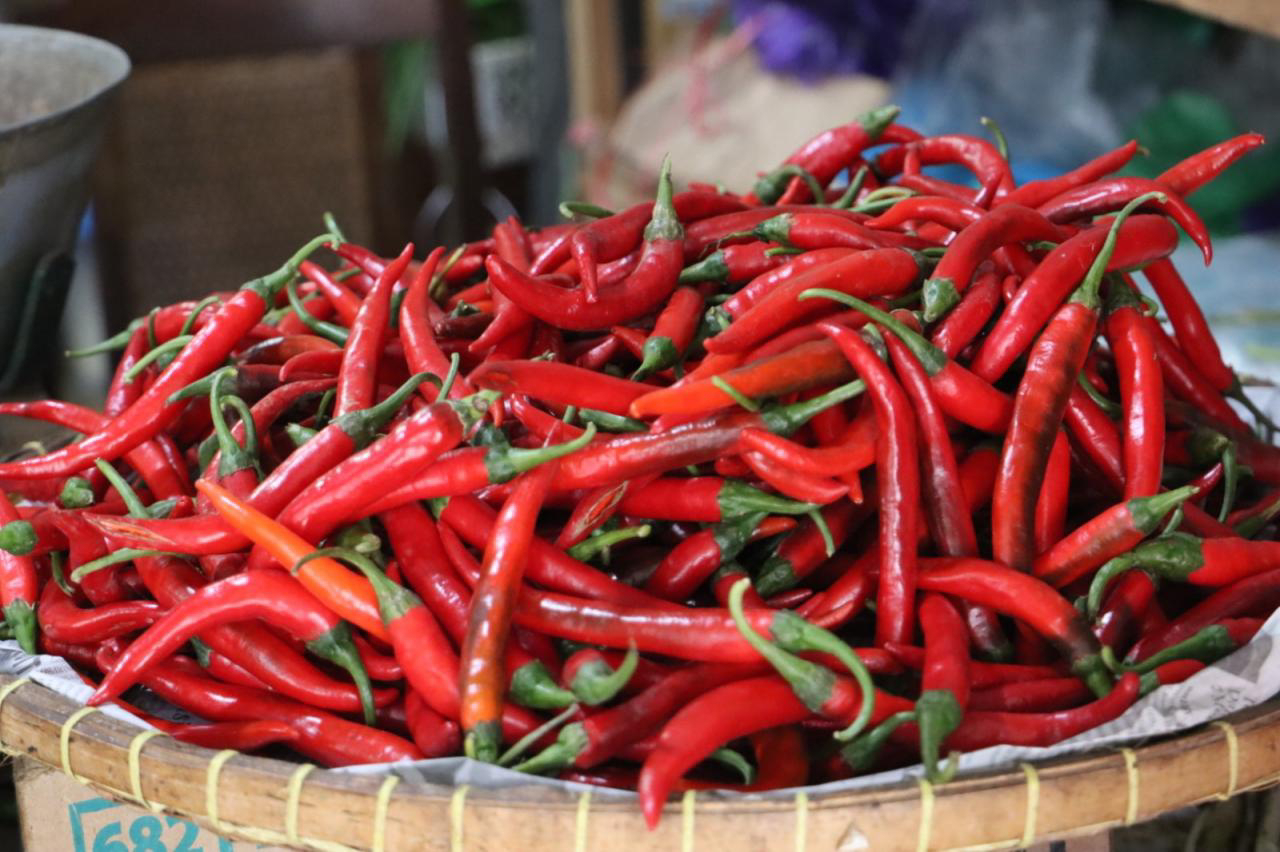 Harga Cabai di Medan Makin Pedas, Dijual Rp60.000 Per Kg