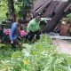 Rumah Warga di Taput Tertimbun Longsor Usai Gempa, Satu Orang Tewas