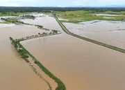 Badai Tropis Fengshen Ancam Pantai Timur, Ribuan Warga Filipina Dievakuasi