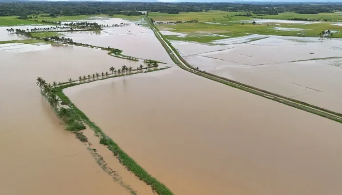Badai Tropis Fengshen Ancam Pantai Timur, Ribuan Warga Filipina Dievakuasi