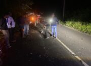 Truk Hantam Pengendara Motor di Tapanuli Utara, Satu Keluarga Tewas 