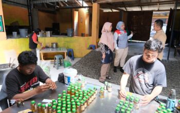 Sertifikat Halal Buka Jalan Minyak Karo Takasi Mejuah Juah Menuju Pasar Internasional